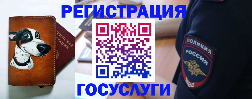 временная регистрация в квартире в Белгородской области
